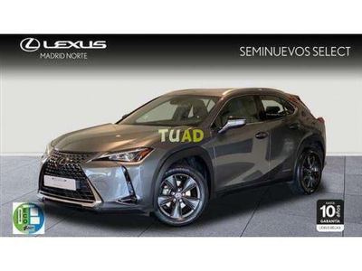 usado Lexus UX 250h Business Navigation 2wd '19