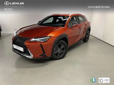 usado Lexus UX 250h Business 2WD