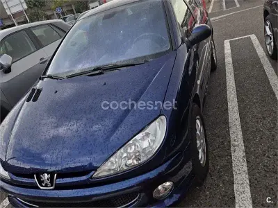 Usado Peugeot 206