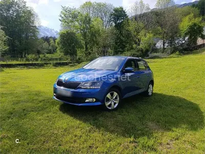 Brugt Skoda Fabia
