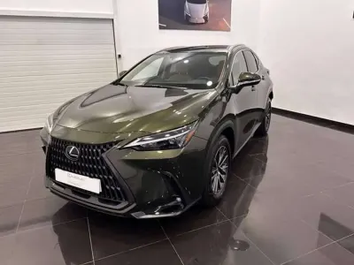 Usado Lexus NX350h 147 CV (108 kW) 2025 Verde SUV