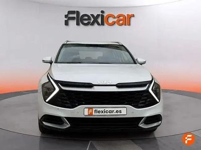 Occasion Kia Sportage 160 ch (117 kW) 2025 Blanc SUV