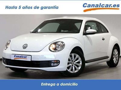 VW Beetle