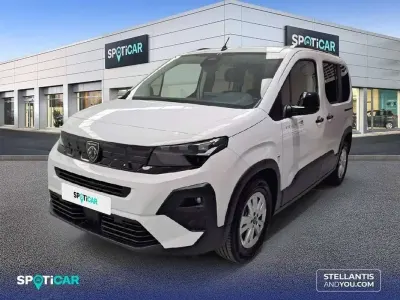 Usado Peugeot Rifter