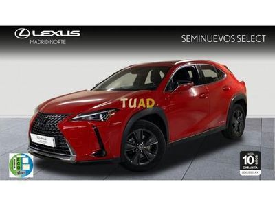 usado Lexus UX 2.0 250h Business