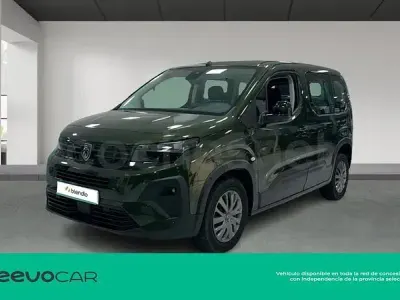 Usado Peugeot Rifter