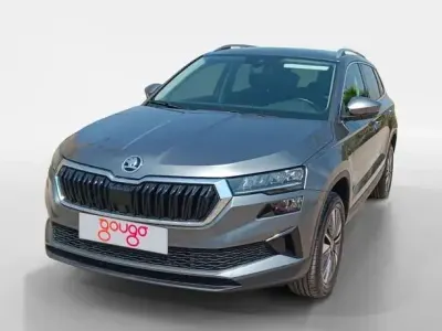 Usado Skoda Karoq
