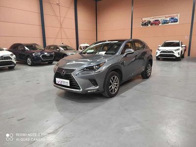 Usado Lexus NX300h 197 CV (144 kW) 2021 Gris SUV