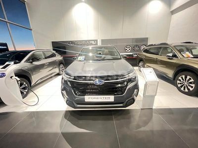 Gris / plata Nuevo 2025 Subaru Forester SUV | 45.995 € (Un poco caro)