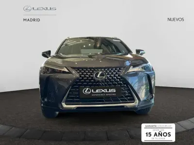Nuevo Lexus UX 300h 199 CV (146 kW) 2025 Gris SUV