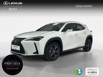 Usado Lexus UX 199 CV (146 kW) 2025 Blanco SUV