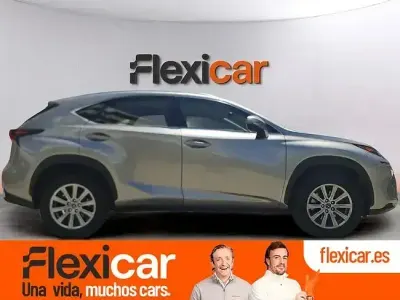 Usado Lexus NX300h Business Edition 197 CV (144 kW) 2020 Gris SUV