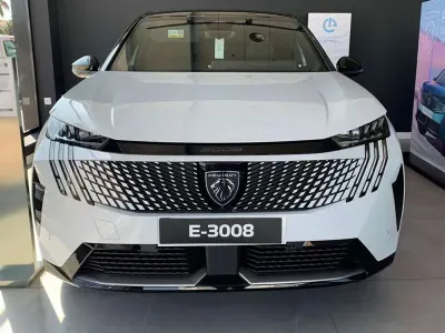 Usado Peugeot e-3008