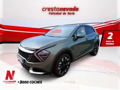 Usado Kia Sportage 265 CV (194 kW) 2022 Verde SUV