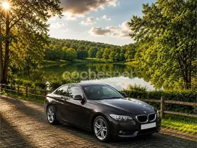 Occasion BMW 220 Comfort Edition 184 PK (135 kW) 2016 Zwart Coupé