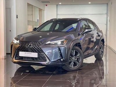 Usado Lexus UX 199 CV (146 kW) 2025 Gris / plata SUV