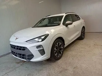 Usado Cupra Terramar