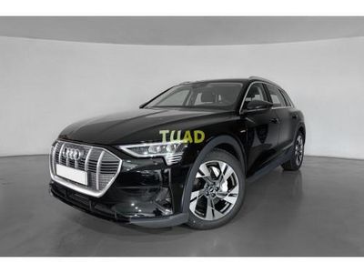 usado Audi e-tron Advanced 50 230kW (313CV)