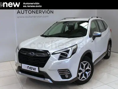 Usado Subaru Forester
