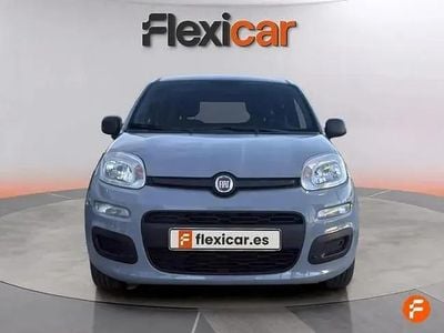 Occasion Fiat Panda 70 PK (51 kW) 2022 Grijs Hatchback