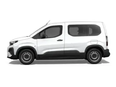 Usado Peugeot Rifter