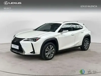 Usado Lexus UX 300e