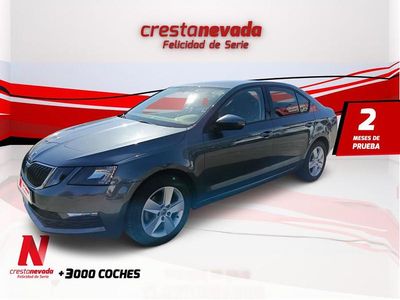 Usado Skoda Octavia Ambition 116 CV (85 kW) 2020