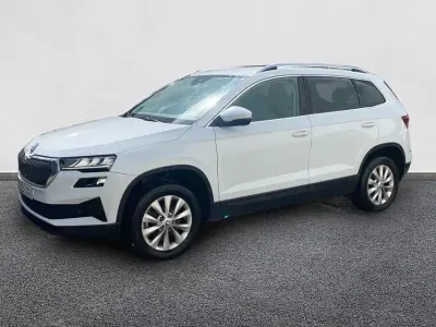 Usado Skoda Karoq
