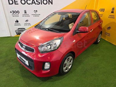 Usado Kia Picanto 66 CV (48 kW) 2016 Rojo Utilitario