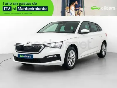 Usado Skoda 110 R