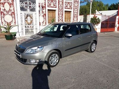 usado Skoda Fabia 1.6tdi Young 90