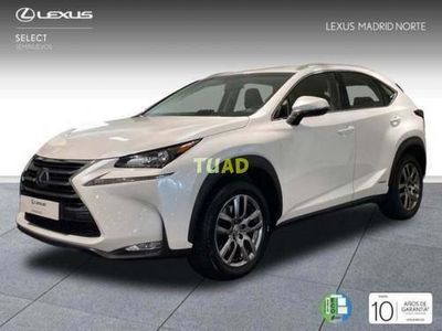 usado Lexus NX300h executive tecno 4wd 145 kw (197 cv)