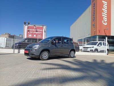 Usado Fiat Panda 70 HP (51 kW) 2023 Cinzento Citadino