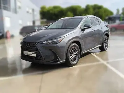 Usado Lexus NX350h Executive Line 190 CV (139 kW) 2022 Gris SUV