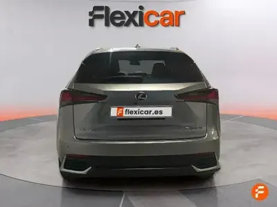 Usado Lexus NX300h 197 CV (144 kW) 2021 Marrón SUV