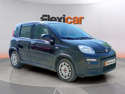 Usado Fiat Panda