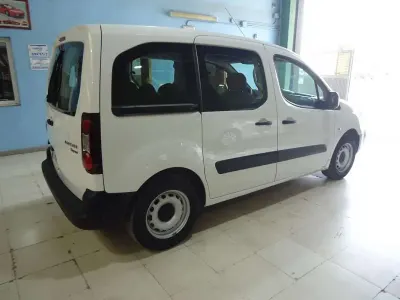 Usado Peugeot TePee