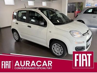 Nieuw Fiat Panda Icon 100 PK (73 kW) 2025 Wit Hatchback