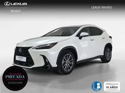 Usado Lexus NX300h Executive Line 306 CV (225 kW) 2022 Blanco SUV