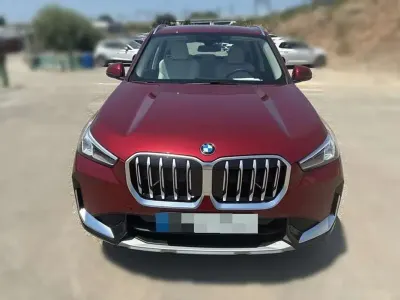 Usado BMW X1