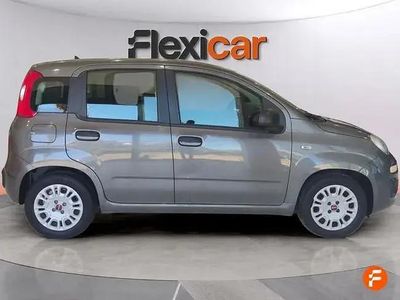 Occasion Fiat Panda 70 PK (51 kW) 2022 Grijs Hatchback