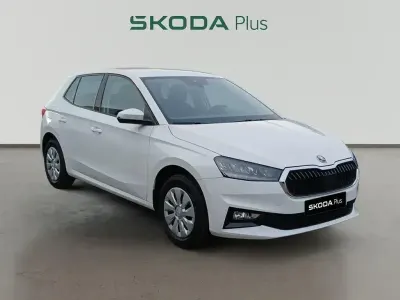 Brugt Skoda Fabia