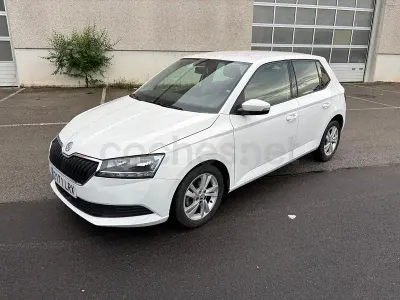 Brugt Skoda Fabia