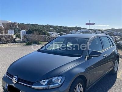 Usado VW Golf VII Advance 110 CV (80 kW) 2018 Gris / plata Familiar
