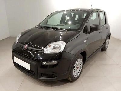 Occasion Fiat Panda 70 PK (51 kW) 2024 Wit Hatchback