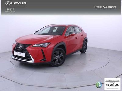 Usado Lexus UX 250h Business Edition 184 CV (135 kW) 2022 Rojo SUV
