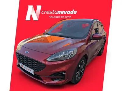 Usado Ford Kuga ST-Line X 190 CV (139 kW) 2022 Granate SUV