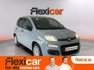 Usado Fiat Panda 70 CV (51 kW) 2022 Gris Utilitario