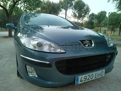 Usado Peugeot 407