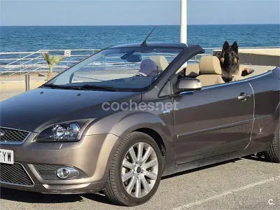 Usado Ford Focus Cabriolet